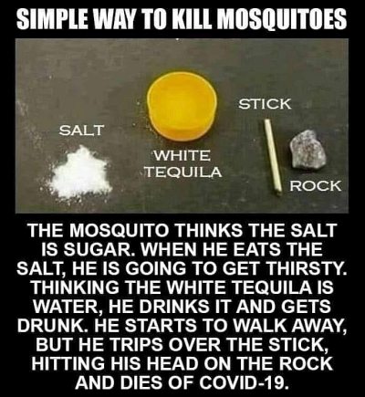 o metodă simplă de a omorî țânțarii